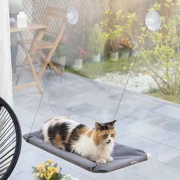 Hamac suspendu Catlax pour chat à fixer sur vitre