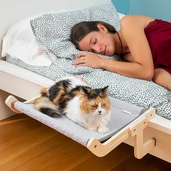 Hamac suspendu Hamacat pour chat InnovaGoods