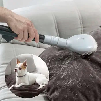 Brosse aspirateur Smoovah InnovaGoods